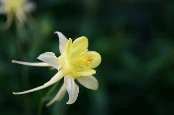 春季养生别犯这8个禁忌