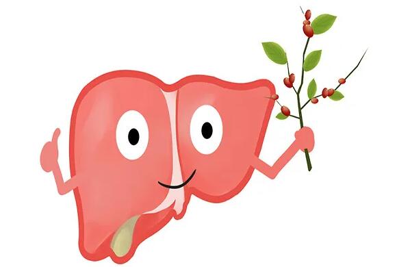 阳春三月春季养肝的养生知识