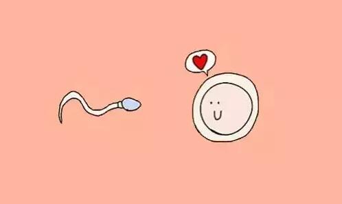 人工授精和试管婴儿的区别