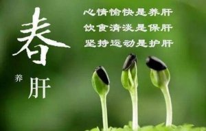 春季如何养肝护肝