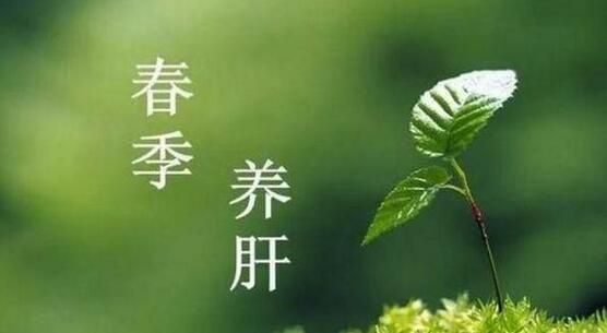 春季如何养肝护肝