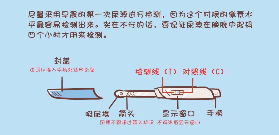 验孕棒怎么用才最准确