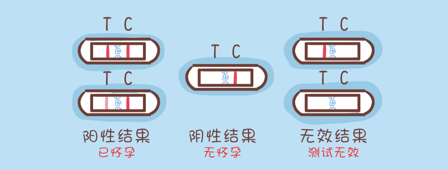 验孕棒怎么用才最准确