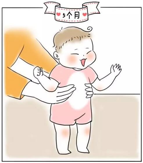 1-12个月婴儿生长发育规律