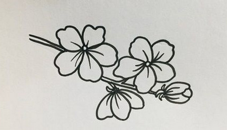 如何画桃花简笔画步骤图片