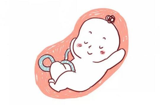 胎动是什么感觉