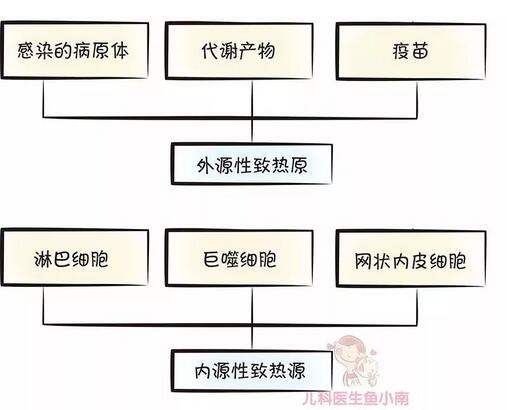 宝宝发烧会烧坏脑子吗？什么时候送医院？