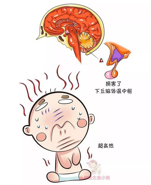 宝宝发烧会烧坏脑子吗？什么时候送医院？