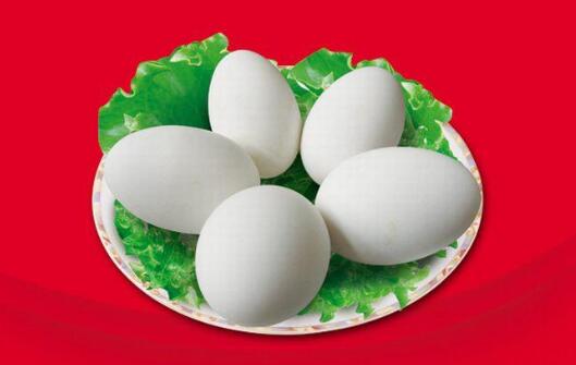 孕妇可以吃鹅蛋吗