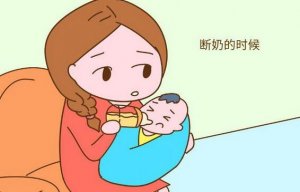 断奶后如何回奶