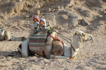 有涵养好听的宝宝名字