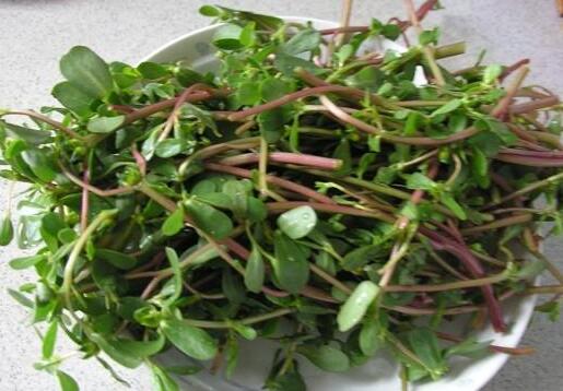 哺乳期不能吃什么