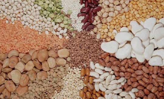 含锌高的食物有哪些 豆类