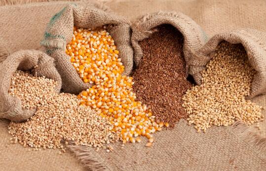 含锌高的食物有哪些 全谷物