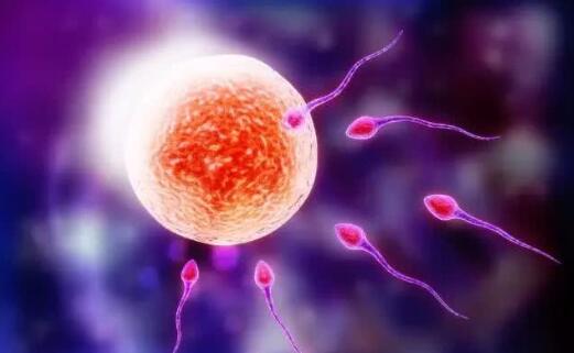 受精卵着床失败的原因一般有哪些