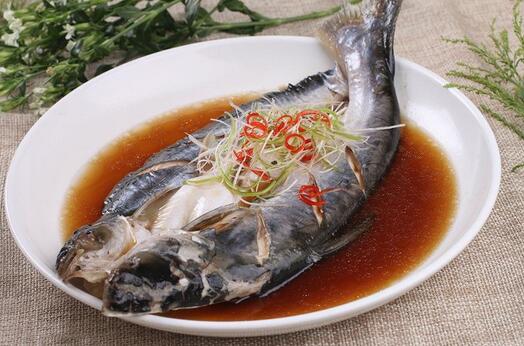 巴沙鱼为什么不能吃