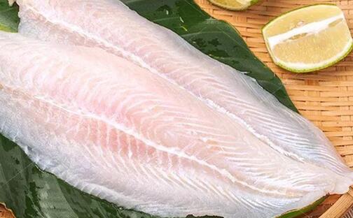 巴沙鱼为什么不能吃