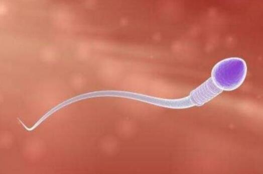 男人的精子能吃吗