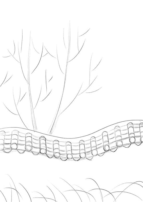 春天主题儿童画作品《美人梅·迎春》