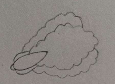 蔬菜青菜简笔画步骤图片