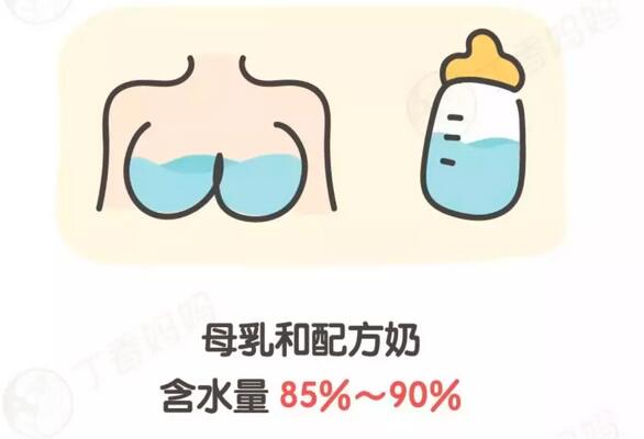 小婴儿母乳或配方奶喂养需要喂水吗