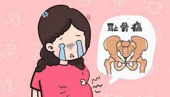 哪些孕妈容易耻骨痛？