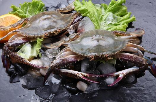 梭子蟹死了能吃吗