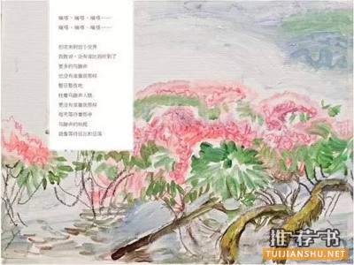 人物故事：适合1-3年级小学生看的绘本中的人物故事