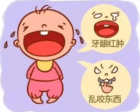 宝宝几个月长牙以及长牙顺序