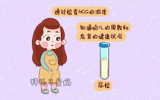 怀孕hcg正常值对照表
