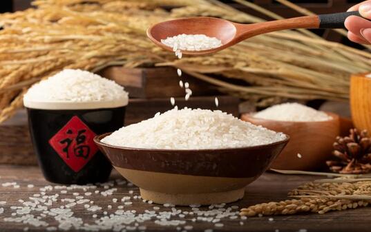 米面生虫还能吃吗