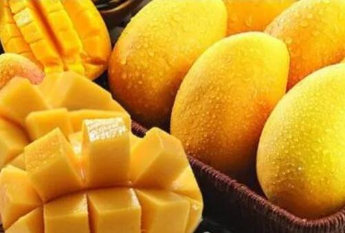 不能多吃芒果