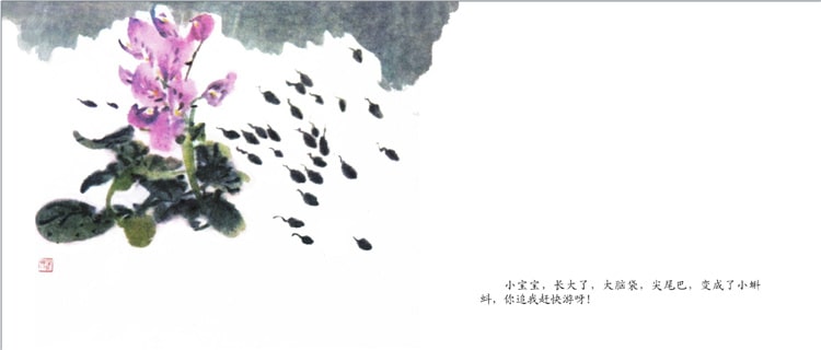 《小蝌蚪找妈妈》儿童绘本故事