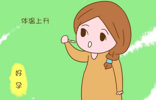 怀孕基础体温会升高吗