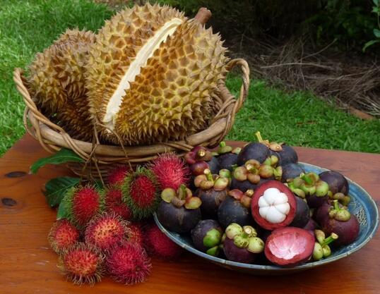 坐月子可以吃水果吗？怎么吃？