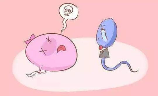 免疫性不孕你了解多少