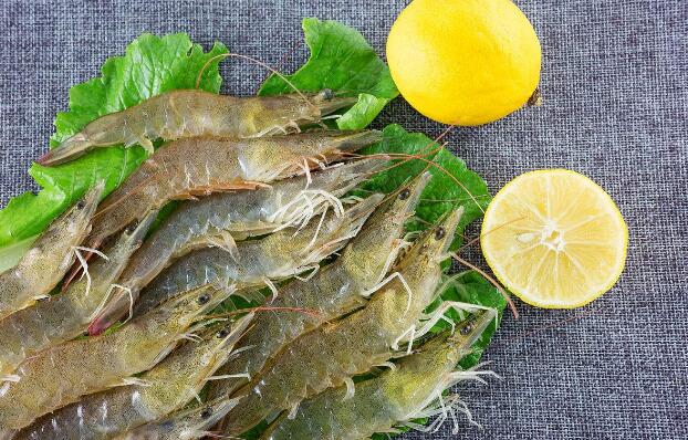 基围虾是海虾吗