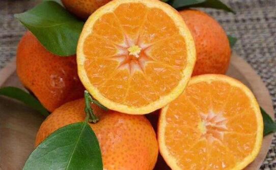 沃柑上火还是降火