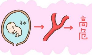 引起羊水栓塞的原因