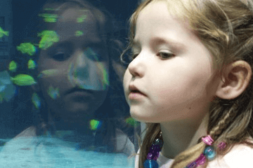 诗经里的名字女孩唯美