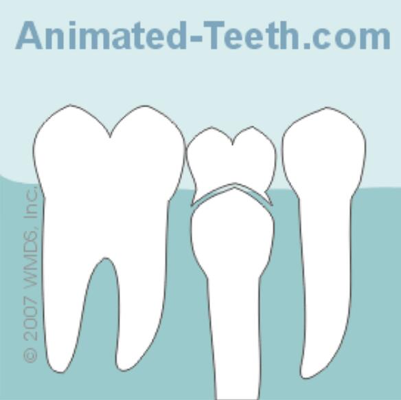 宝宝双排牙是怎么回事