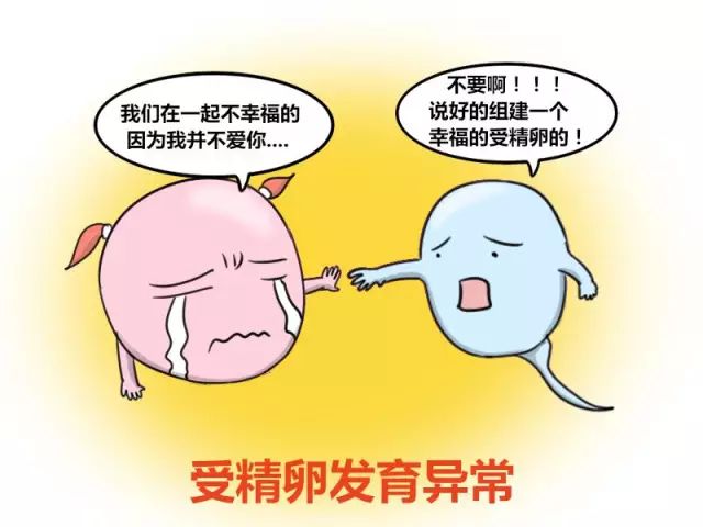 葡萄胎是怎么回事