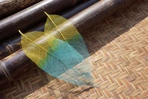 漂亮的叶脉书签制作方法