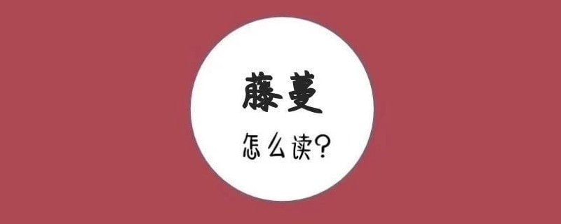 藤蔓怎么读拼音