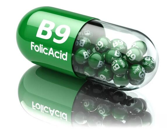 立夏后如何调整备孕计划？这5点不要弄错！