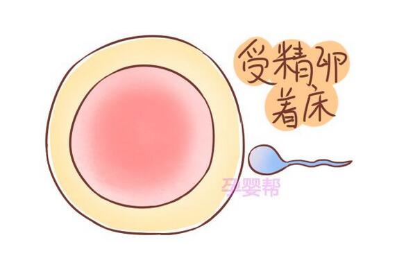 受精卵着床出血是什么颜色