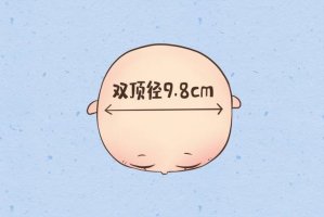胎儿bpd是什么意思