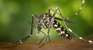 无比滴宝宝能用吗？哪些驱蚊产品靠谱？