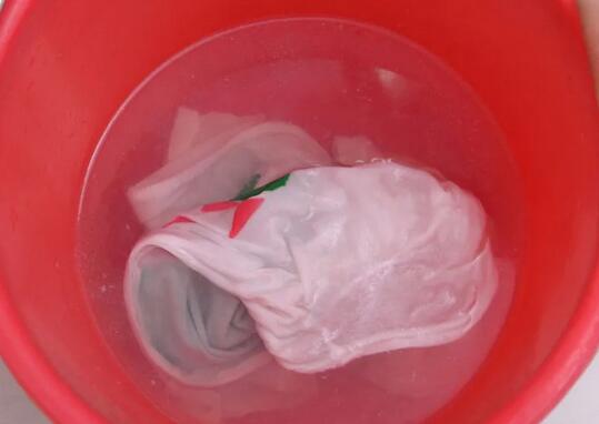 淘米水的4个妙用，太实用了