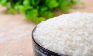 夏天家里大米生虫子怎么办